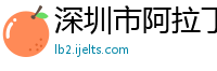 深圳市阿拉丁电子有限公司